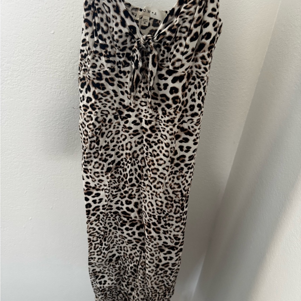 Leopard Print Dress